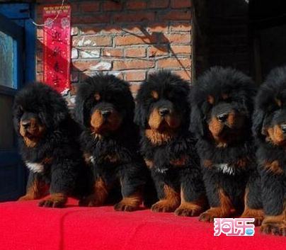 开始做自媒体 不会选择赚钱领域 这6点你要学会 收藏备用‘BJL平台集团’(图4) BJL平台集团