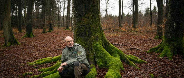 【BJL平台集团】椰岛自研新作《完美的一天》公布 重现20世