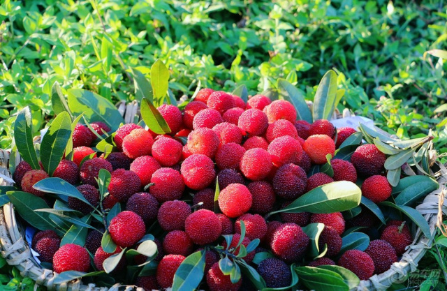 金砖国家合拍影片《邻里》全球首映-BJL平台(图3) BJL平台