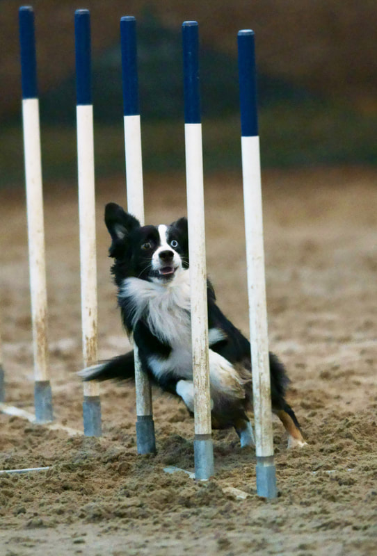《生生不息》:死亡才是通往生存的道路_BJL平台(图3) BJL平台