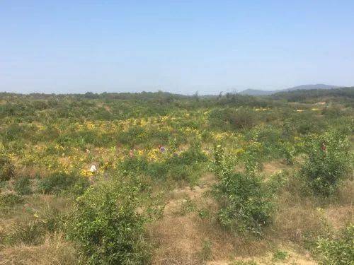 
“百名记者走下层·小康生活我打卡”大型主题宣传报道运动第十二站走进都昌：BJL平台集团(图5)