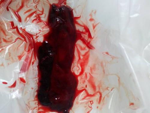 群星闪耀见证历史：LGD杭州主场电竞综合体正式开业【BJL平